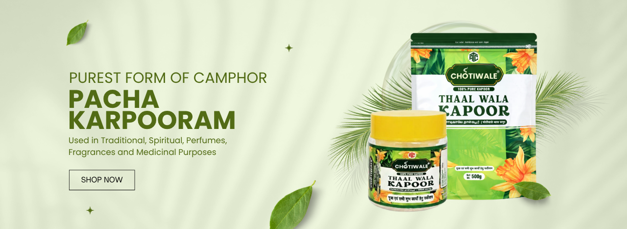 Untitled design (22)